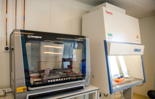 Teste (kituri) extracție și diagnostic SARS-Cov-2/consumabile